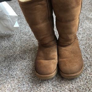 Chestnut tall Uggs